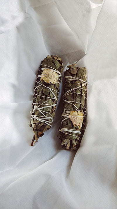 Eucalyptus + Lavender Smudge Stick