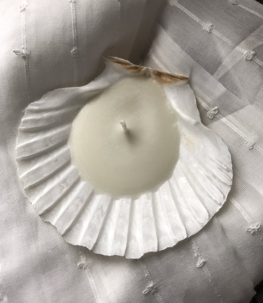 Bohéme Seashell Scented Candles